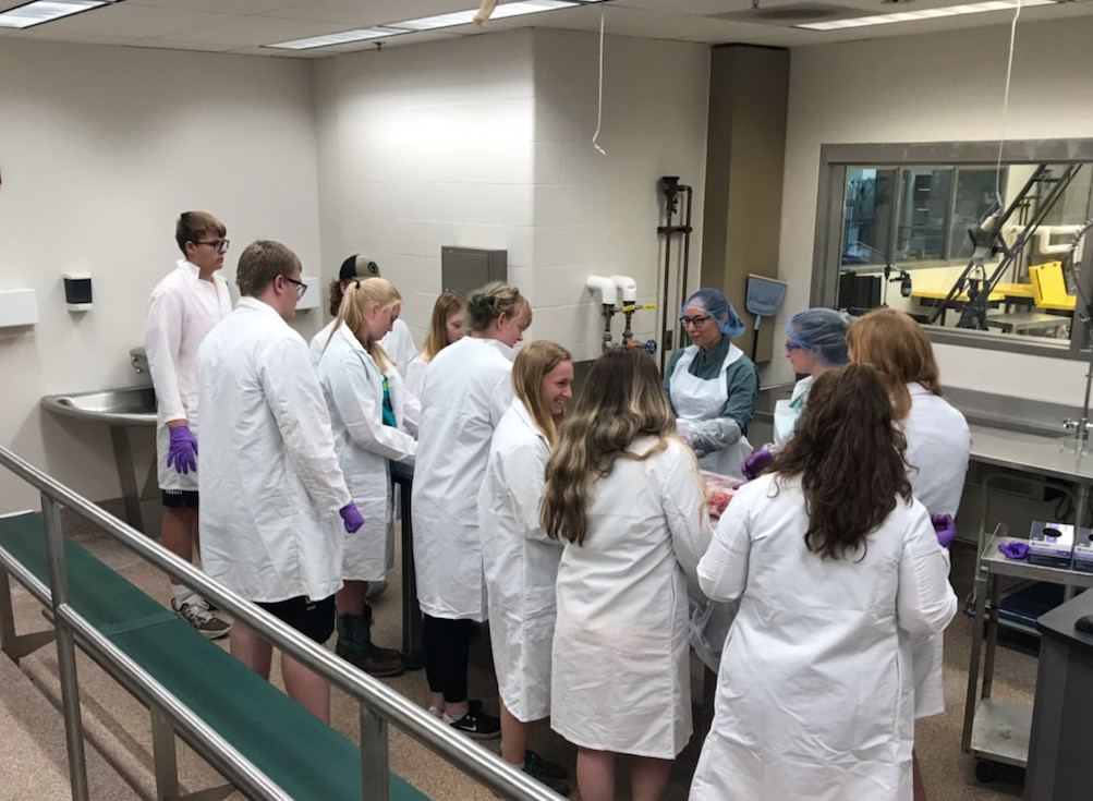 A group of students that are wearing lab coats and learning.